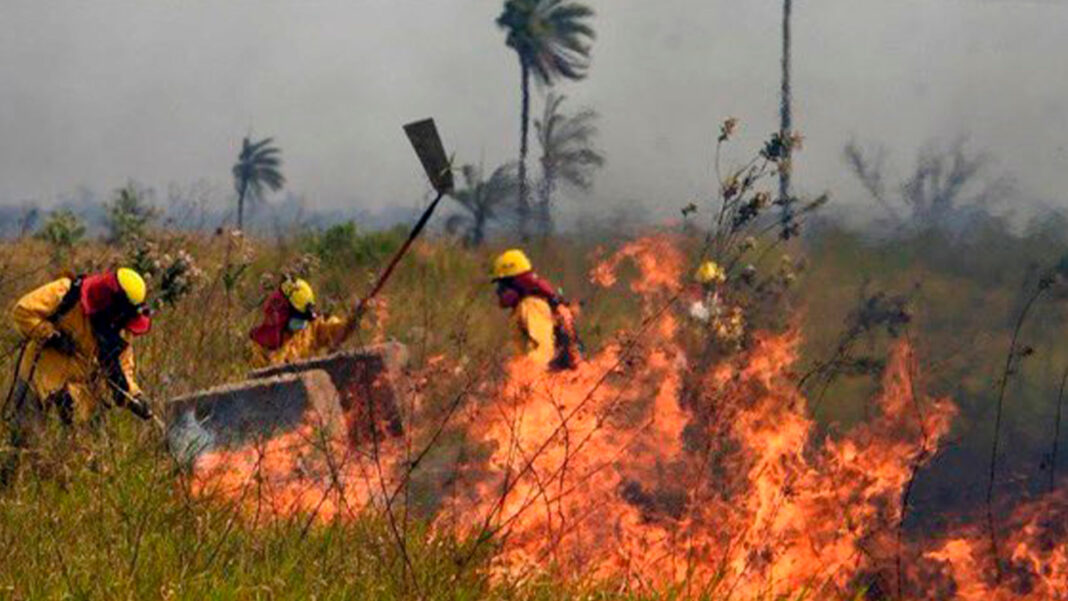 REDESCA SALUDA ACCIÓN POPULAR POR LA PROTECCIÓN DEL MEDIO AMBIENTE PRESENTADA POR EL DEFENSOR DEL PUEBLO