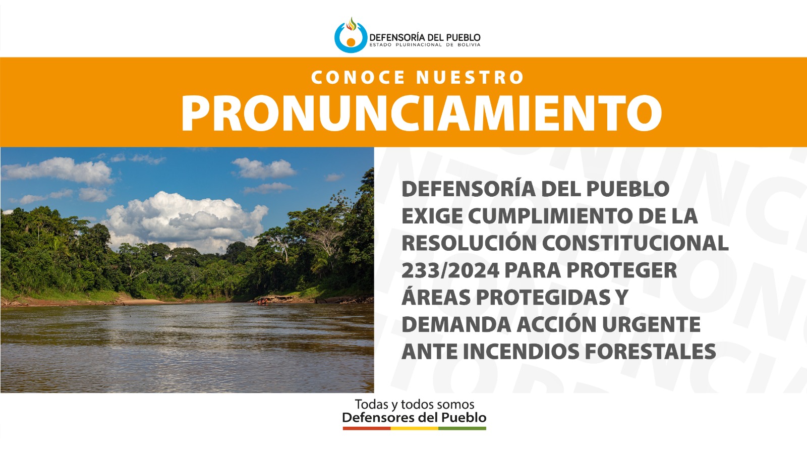 DEFENSORÍA DEL PUEBLO EXIGE CUMPLIMIENTO DE LA RESOLUCIÓN CONSTITUCIONAL 233/2024 PARA PROTEGER ÁREAS PROTEGIDAS Y DEMANDA ACCIÓN URGENTE ANTE INCENDIOS FORESTALES