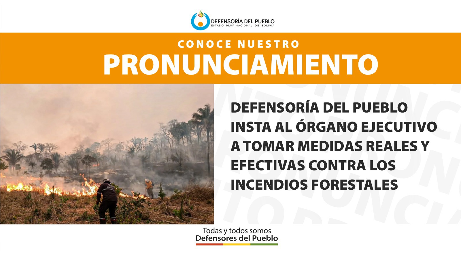 DEFENSORÍA DEL PUEBLO INSTA AL ÓRGANO EJECUTIVO A TOMAR MEDIDAS REALES Y EFECTIVAS CONTRA LOS INCENDIOS FORESTALES